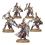 Warhammer AOS - Slaanesh - Myrmidesh Painbringers / Symbaresh Twinsouls