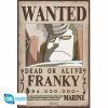 One Piece Poster Wanted Franky