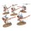 Chasseurs Raptadons