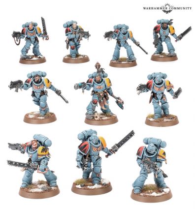 Space Wolves V10 - CHASSEURS GRIS*