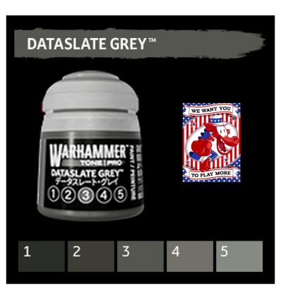 Warhammer Tone Pro -  DATASLATE GREY 1 12ML ROW
